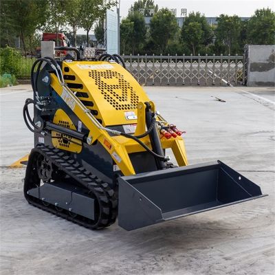 Pembangunan Landscape Mini Skid Steer Loader Ce Iso
